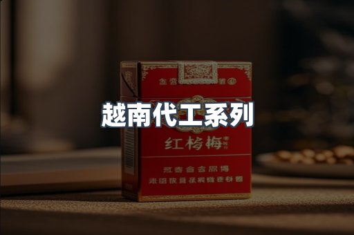 越南代工系列